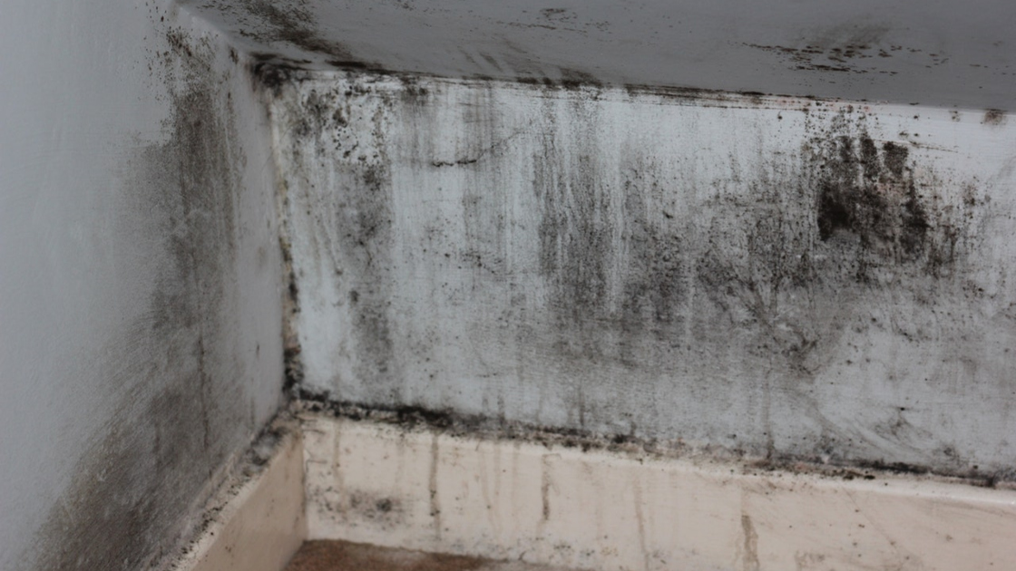 Dealing with strata mould