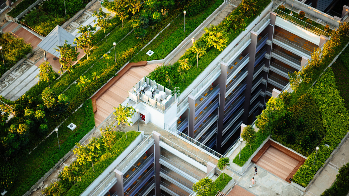 Should I have a rooftop garden_