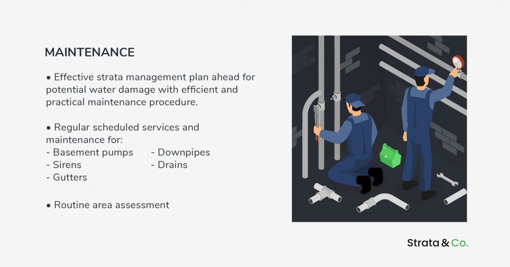 Strata water damage maintenance