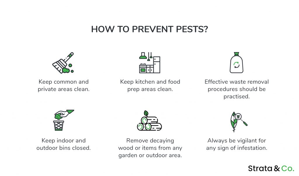 How to prevent pests